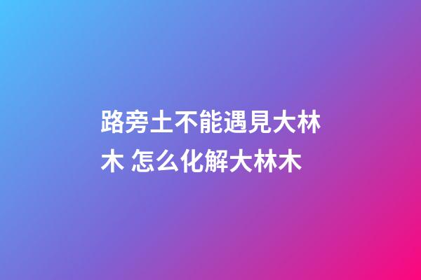 路旁土不能遇見大林木 怎么化解大林木
